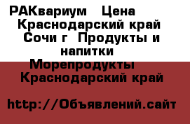 РАКвариум › Цена ­ 400 - Краснодарский край, Сочи г. Продукты и напитки » Морепродукты   . Краснодарский край